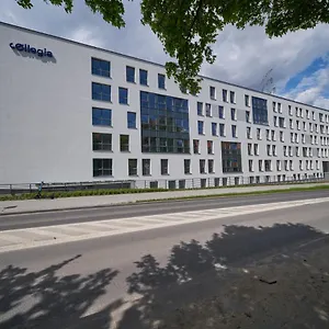 Collegia Gdansk